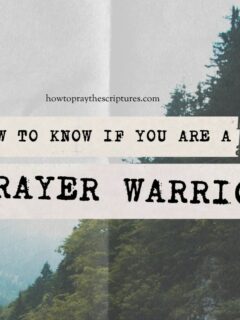 How to Know if You are a Prayer Warrior