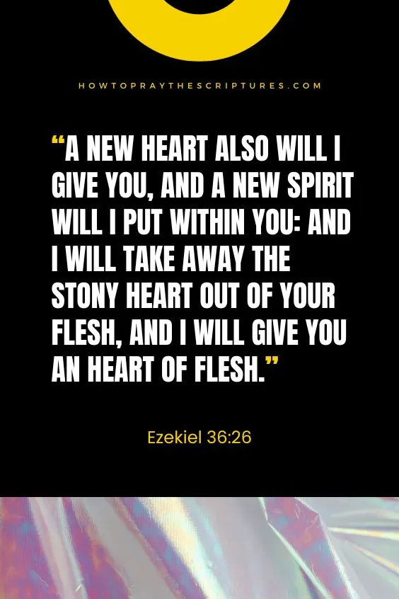 Ezekiel 36:26 A new heart also will I give you, and a new spirit will I put within you: and I will take away the stony heart out of your flesh, and I will give you an heart of flesh.