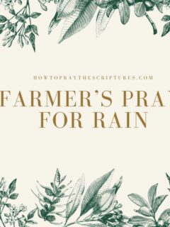 A Farmer’s Prayer for Rain