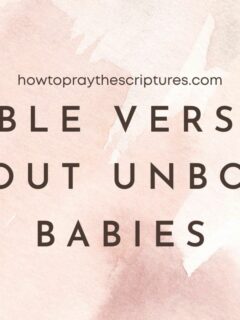 Bible Verses About Unborn Babies