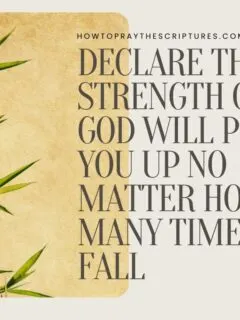 Declare the Strength of God will pick You up No matter How many times you fall