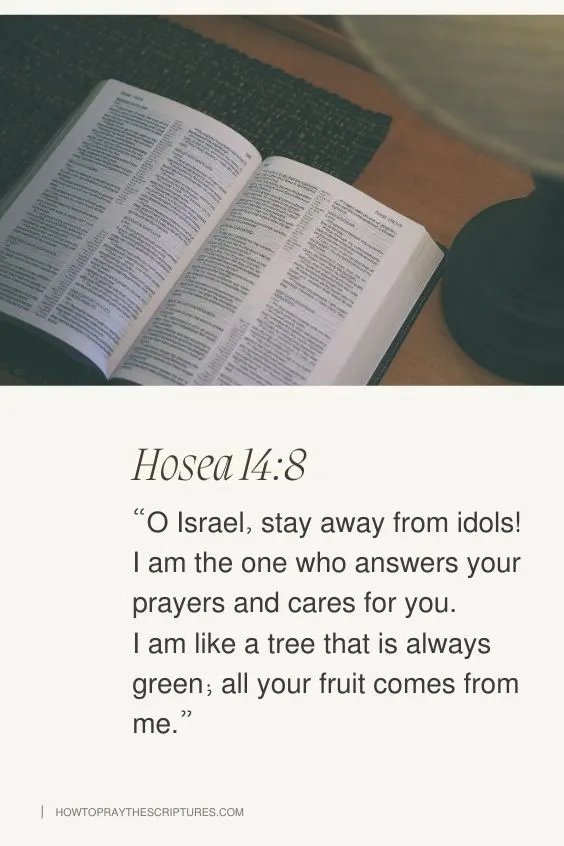 How to Pray for Holding on to God&rsquo;s Faithfulness from Hosea 14:8