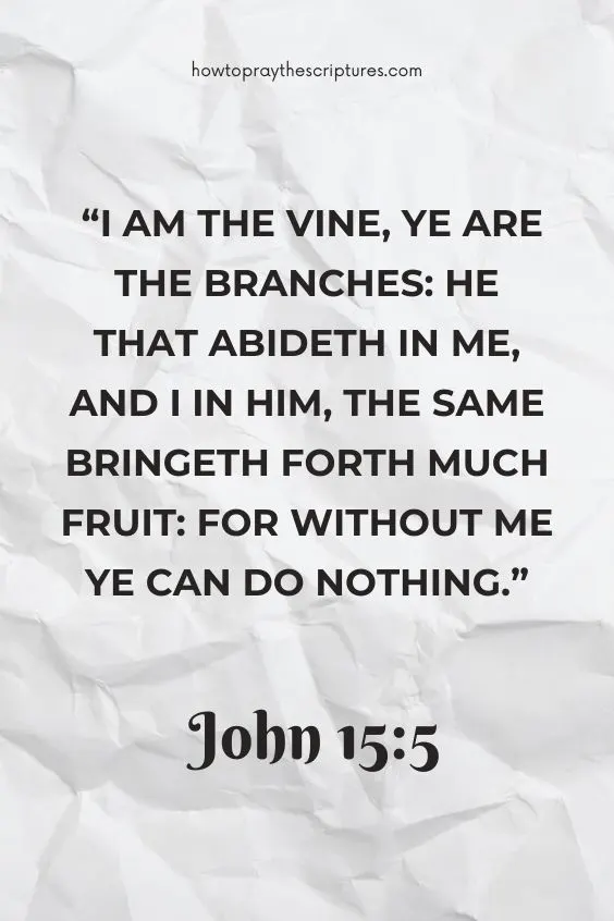 I am the vine, ye are the branches: He that abideth in me, and I in him, the same bringeth forth much fruit: for without me ye can do nothing