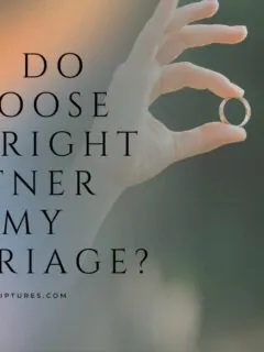 How Do I Choose the Right Partner for My Marriage?