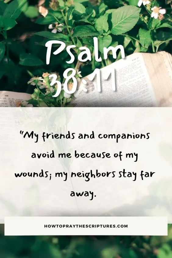 My friends and companions avoid me because of my wounds; my neighbors stay far away.