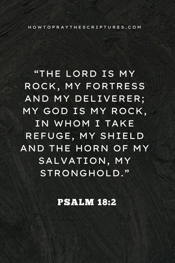 The Lord is my rock, my fortress and my deliverer; my God is my rock, in whom I take refuge, my shield and the horn[b] of my salvation, my stronghold