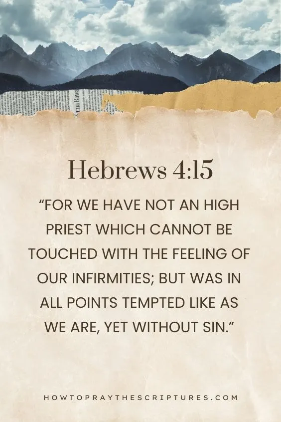 Hebrews 4:15 For we have not an high priest which cannot be touched with the feeling of our infirmities; but was in all points tempted like as we are, yet without sin.)