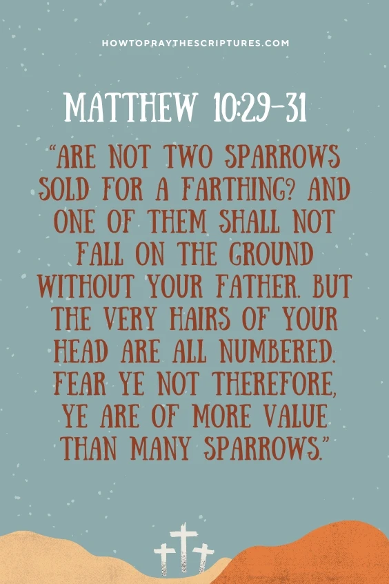 Are not two sparrows sold for a farthing? And one of them shall not fall on the ground without your Father. But the very hairs of your head are all numbered. Fear ye not therefore, ye are of more value than many sparrows.