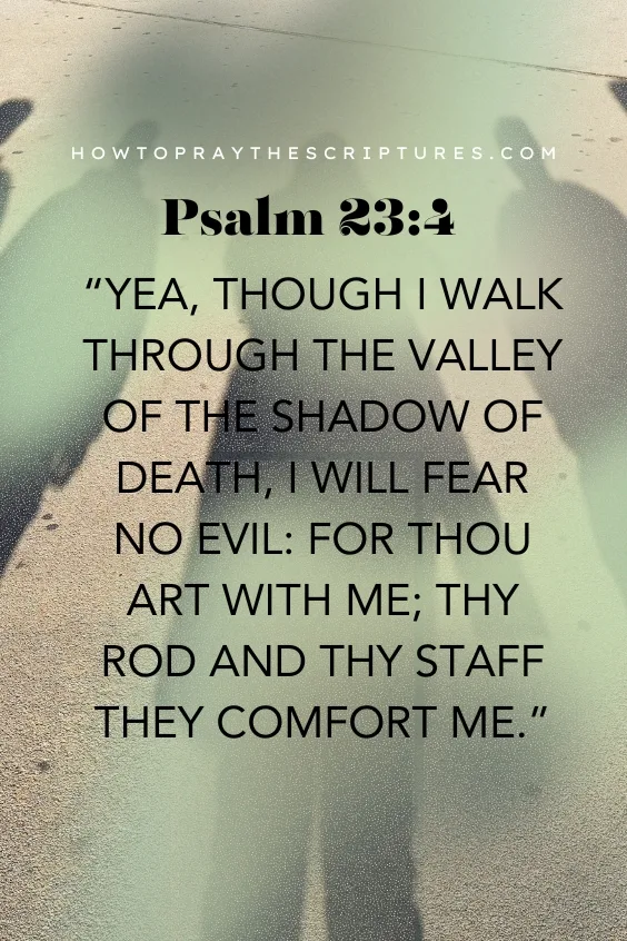 Yea, though I walk through the valley of the shadow of death, I will fear no evil: for thou art with me; Thy rod and thy staff they comfort me.