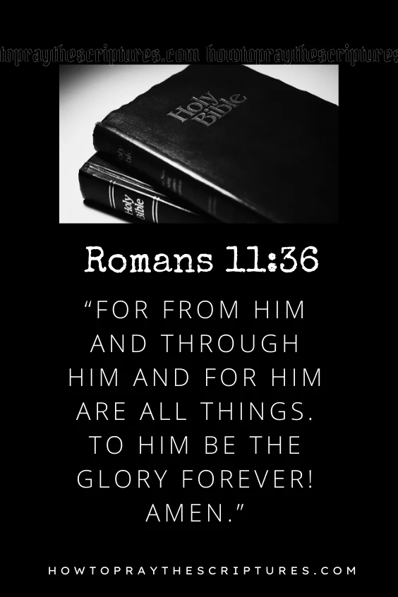 A Prayer During Bible Study