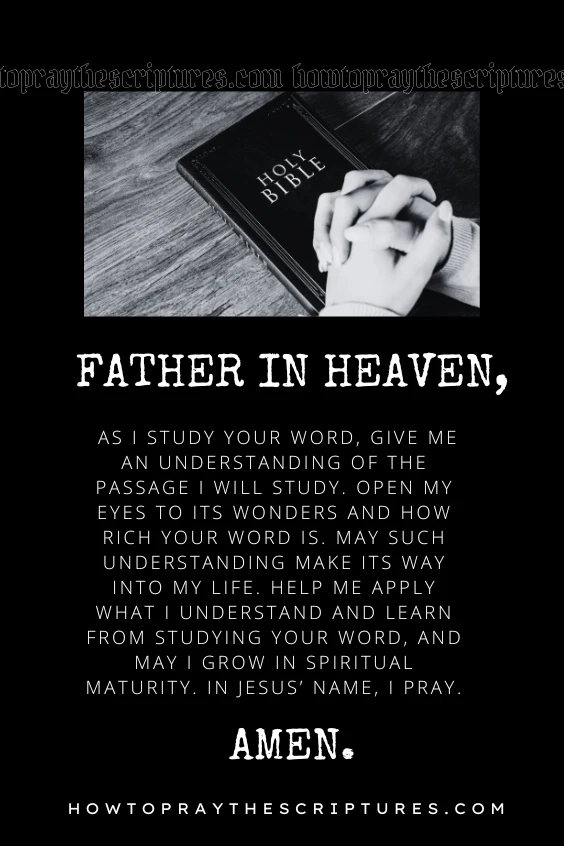 Father in heaven, as I study Your Word, give me an understanding of the passage I will study. Open my eyes to its wonders and how rich Your Word is. May such understanding make its way into my life. Help me apply what I understand and learn from studying Your Word, and may I grow in spiritual maturity. In Jesus&rsquo; name, I pray. Amen.