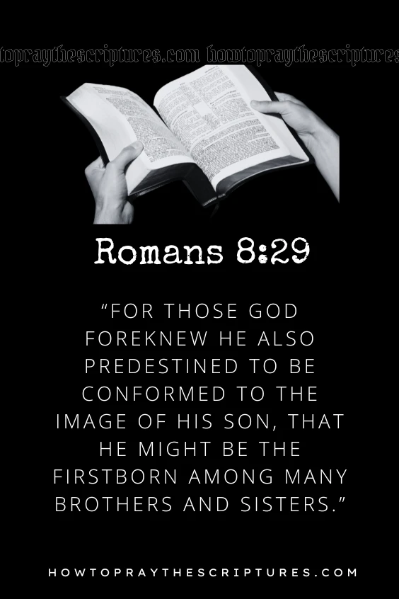 A Prayer During Bible Study