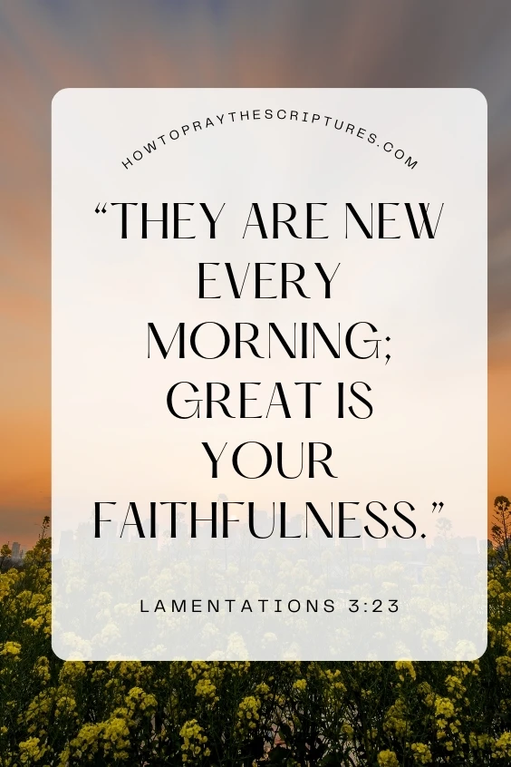 hey are new every morning; great is your faithfulness.