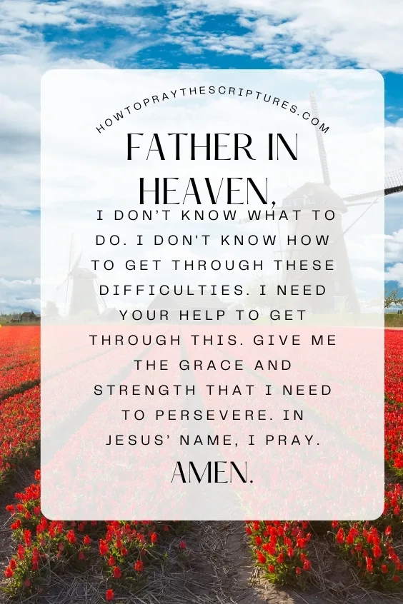 Father in heaven, I don&rsquo;t know what to do. I don't know how to get through these difficulties. I need Your help to get through this. Give me the grace and strength that I need to persevere. In Jesus&rsquo; name, I pray. Amen.