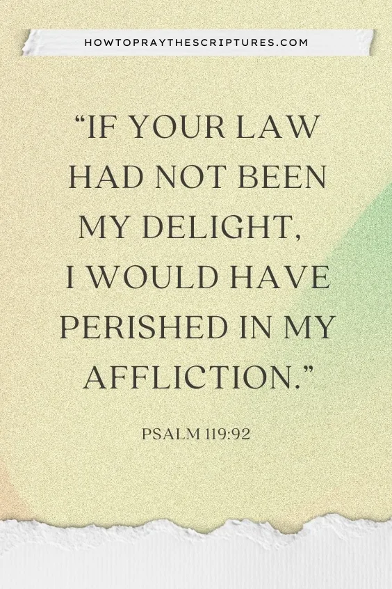 If your law had not been my delight, I would have perished in my affliction.