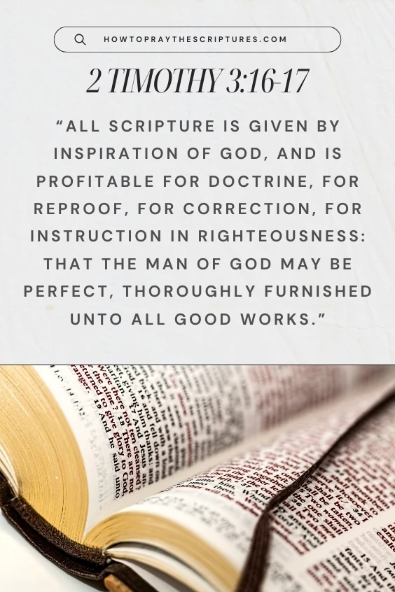 All scripture is given by inspiration of God, and is profitable for doctrine, for reproof, for correction, for instruction in righteousness: That the man of God may be perfect, thoroughly furnished unto all good works.
