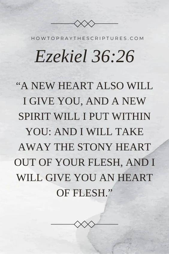 A new heart also will I give you, and a new spirit will I put within you: and I will take away the stony heart out of your flesh, and I will give you an heart of flesh.