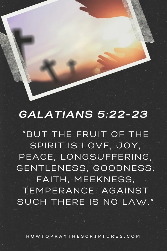 But the fruit of the Spirit is love, joy, peace, longsuffering, gentleness, goodness, faith, 23 Meekness, temperance: against such there is no law.)